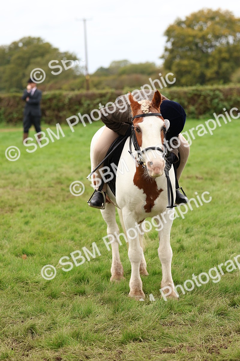 SBM_64573 - S58 - Coloured Pony Ridden