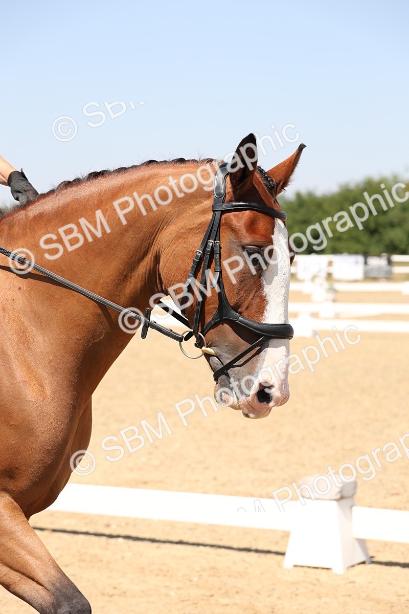 SBM_004963