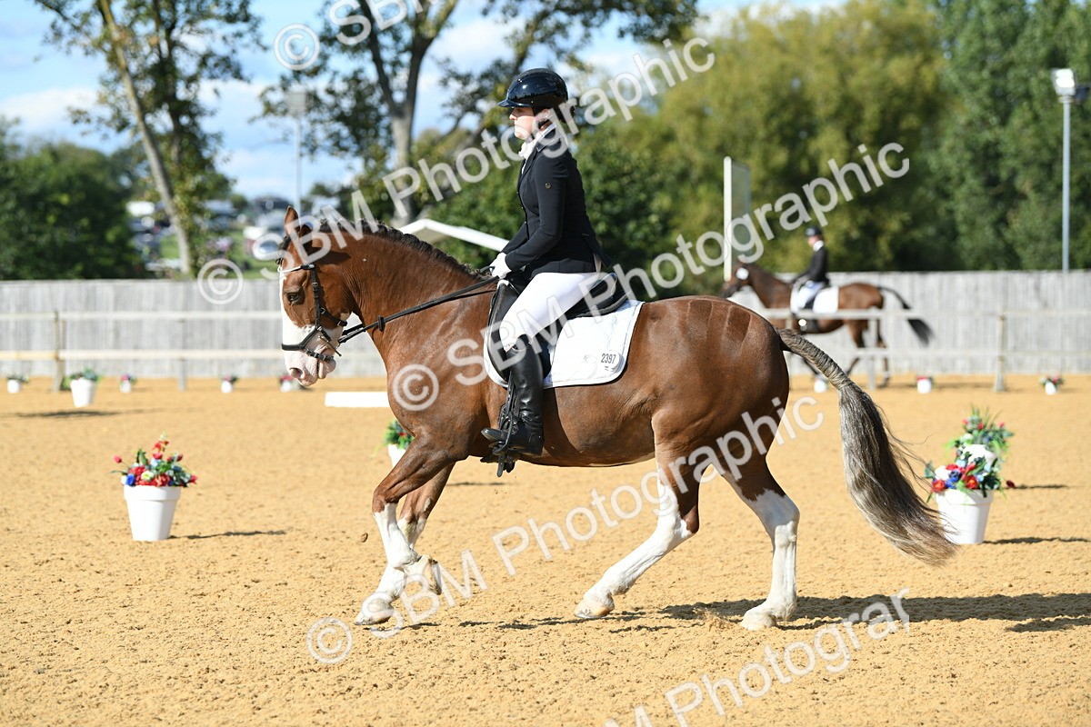 SBM_27118 - D16 - Small Tour Championship - Novice 28