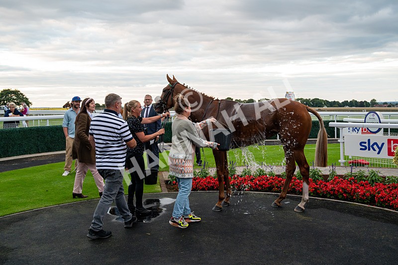 220724-Race 6-Chicago Gal-5420 - Race 6