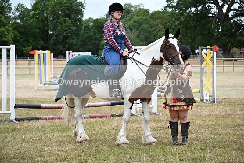 WJ6_4906 - Class 11 Fancy Dress