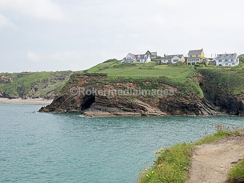 DSC00143 - Skomer 2019