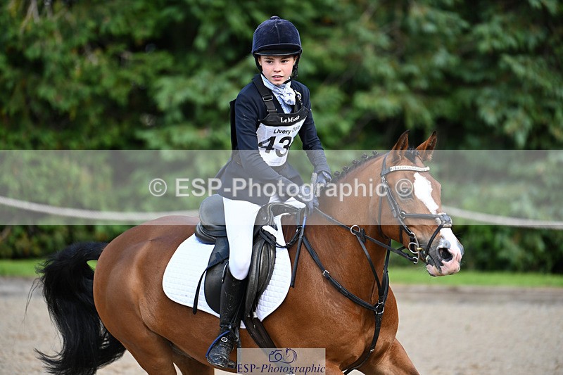 240824X-150026-29523 - 80cm Round 2 14.30 to 15.30