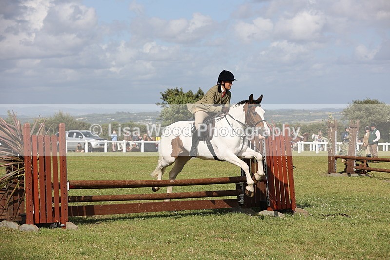 JPP_2795 - Class 20: Working Hunter 70cm