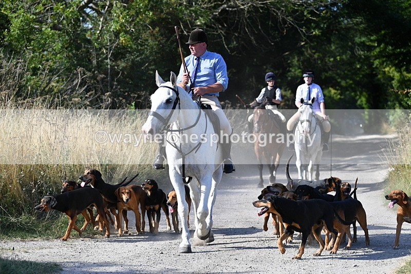 WJ5_4812 - Walk out with the hounds