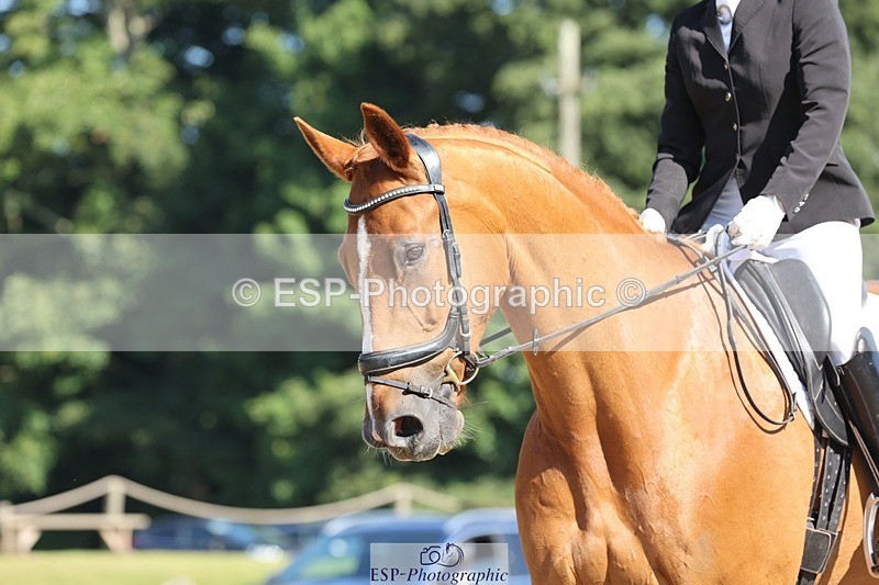 240719-093739-00206 - 264-Kate_Lewis-freeloader