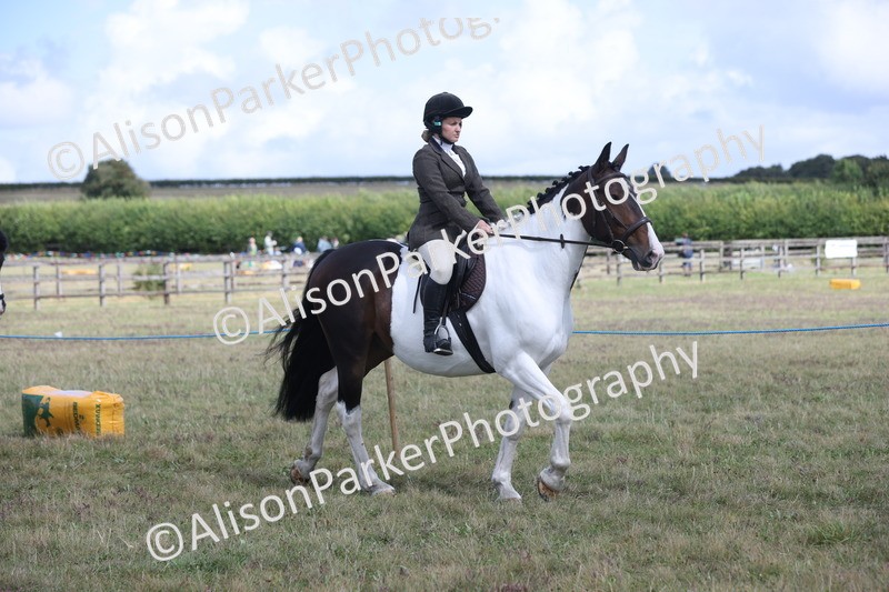 20250831-4172 - Class 20 - Ridden Coloured