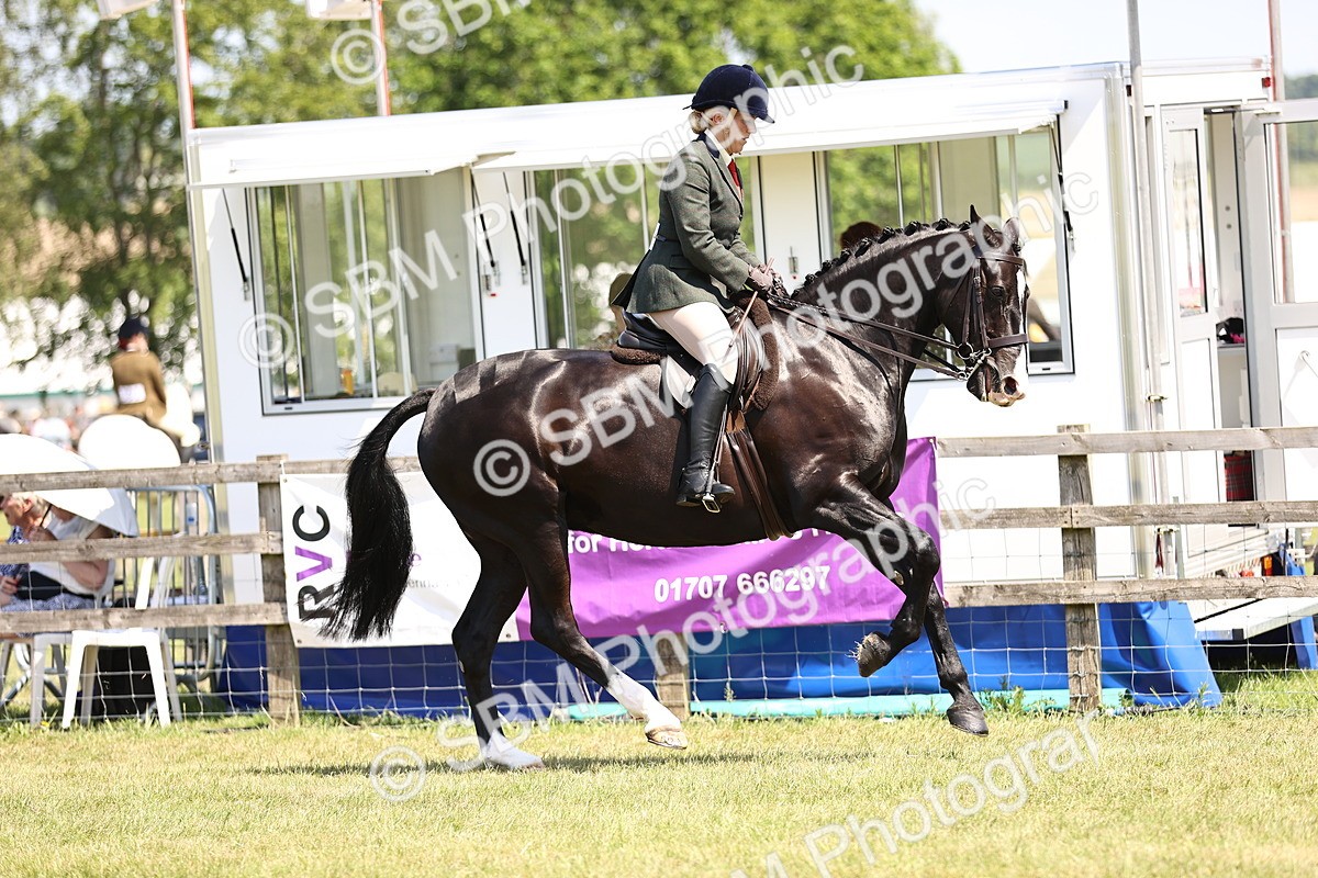 SBM_15054 - Class 79-80 - LIHS BSHA Rising Star Ridden Hunter