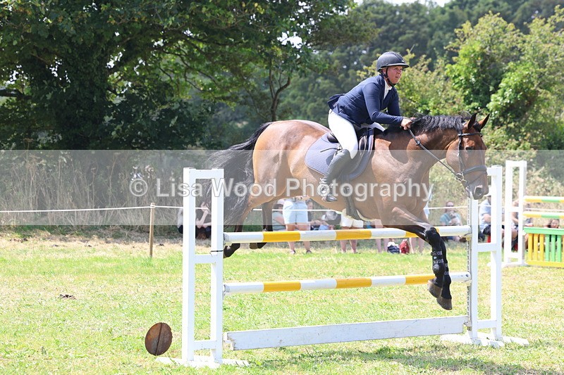 3E7A3393 - Class 10: Senior Foxhunter/1.20 open