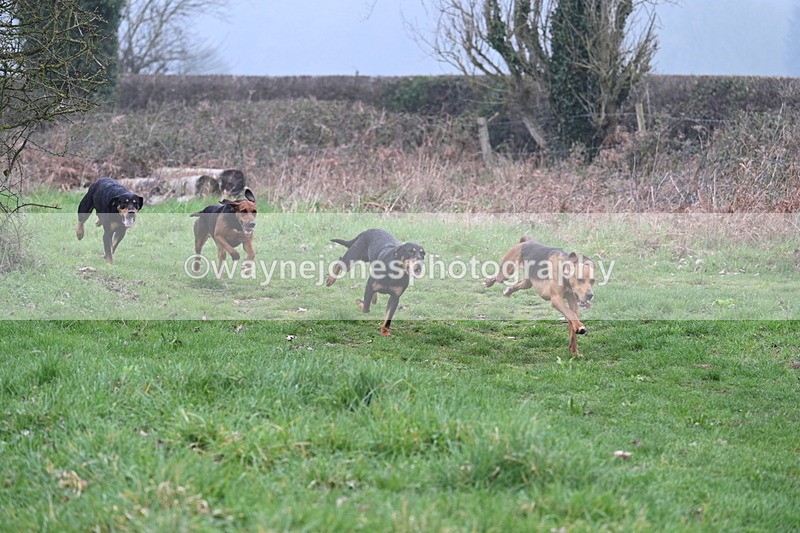 WJ7_0293 - Line 2 cam A