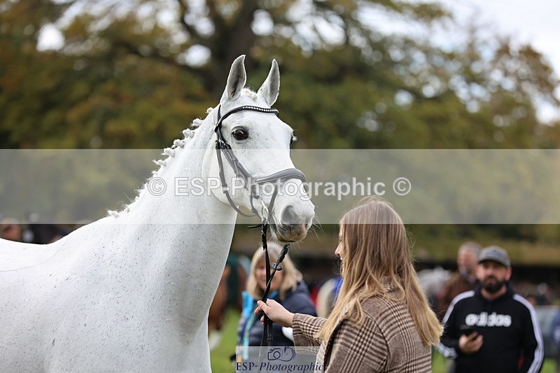 251026A-113902-25590 - G-558-Chloe.Chamulewicz