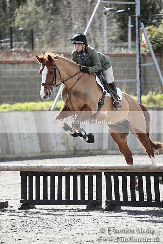 BVRC SJ 170319 386 - Bourne Valley Riding Club Showjumping 17/03/19