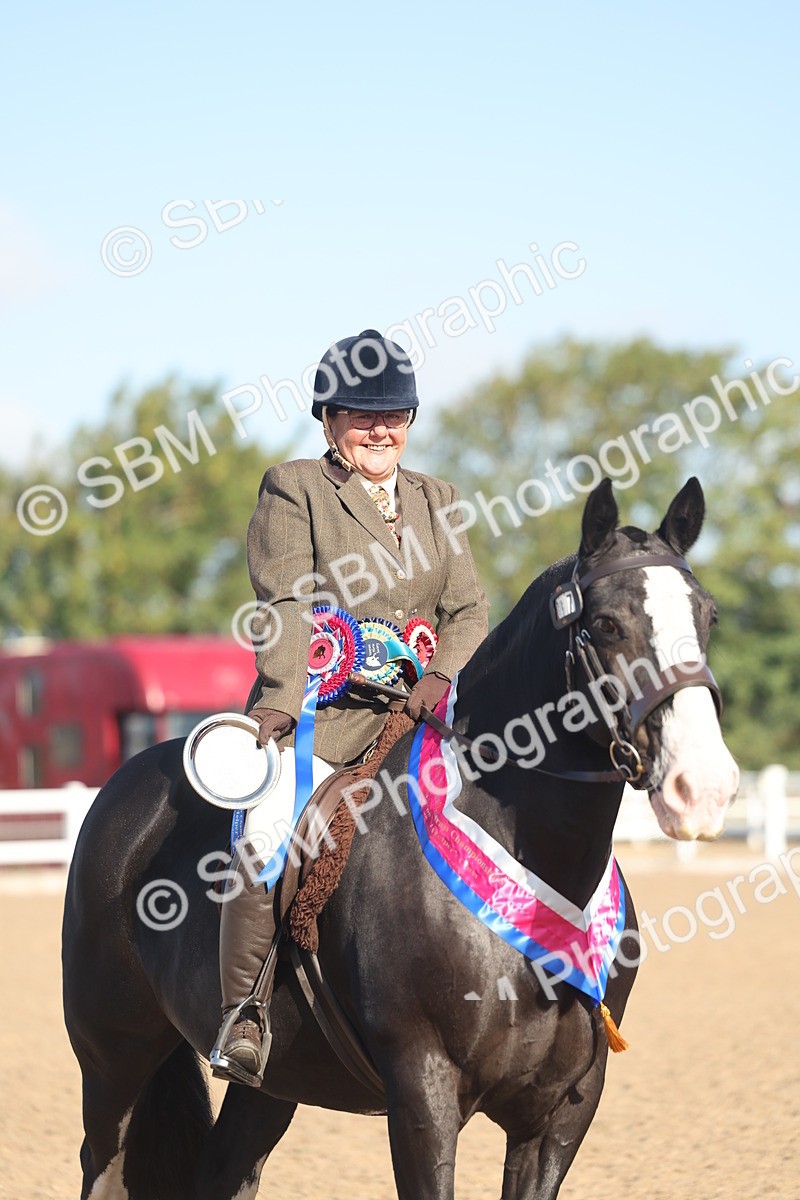 SBM_22237 - Class 802 - Ridden Groom Helpers Class