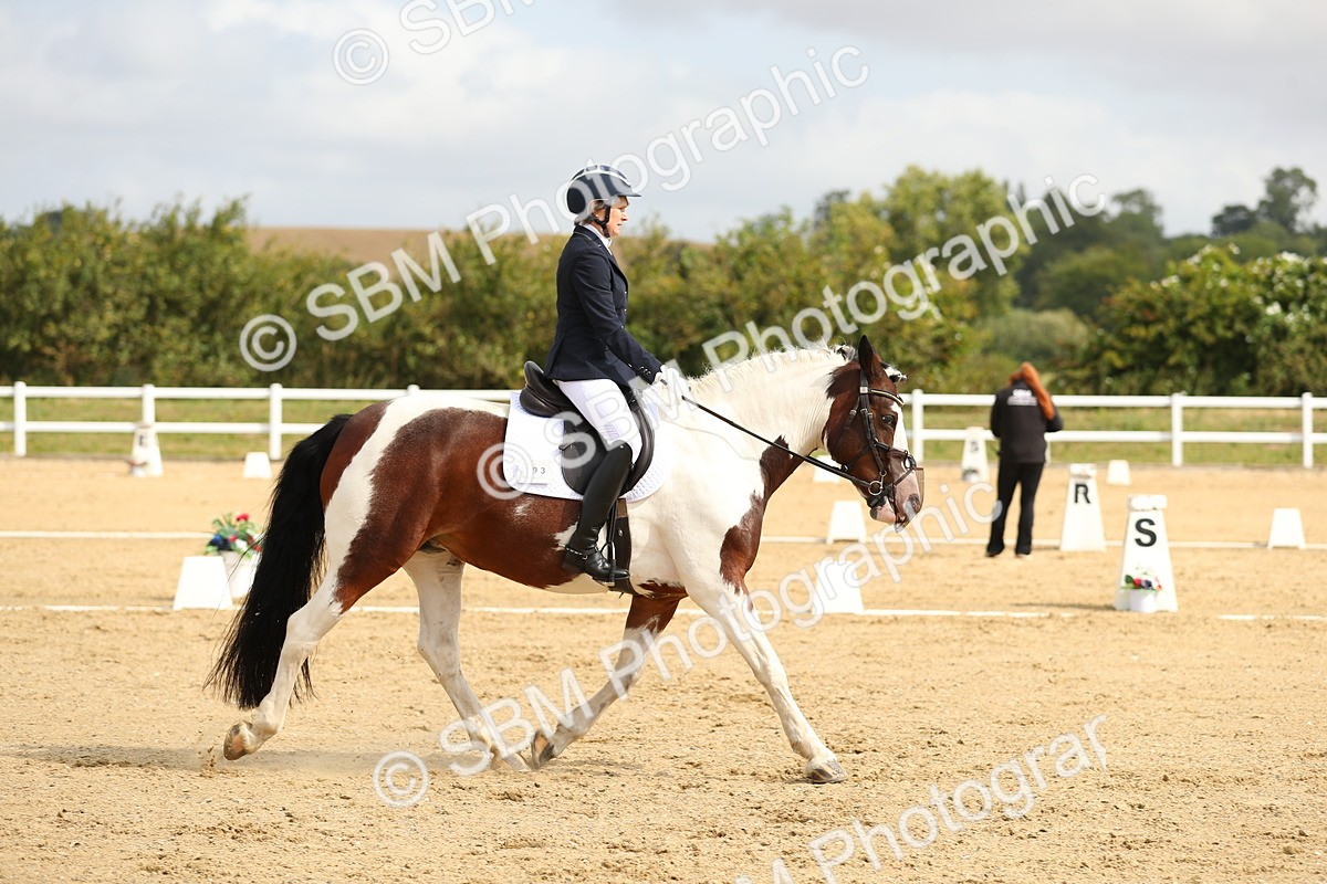 SBM_015682 - Class 13 - Novice 23 - 9.54-11.04