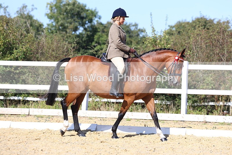 3E7A5657 - Class 10: Riding Horse