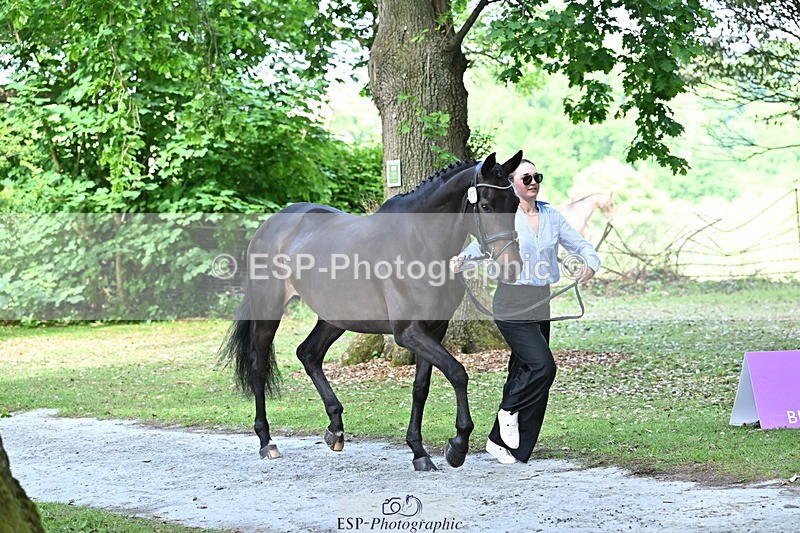 250521A-153219-00576 - B-316-Jasmine.Holmes-ARENT.I.LUCKY