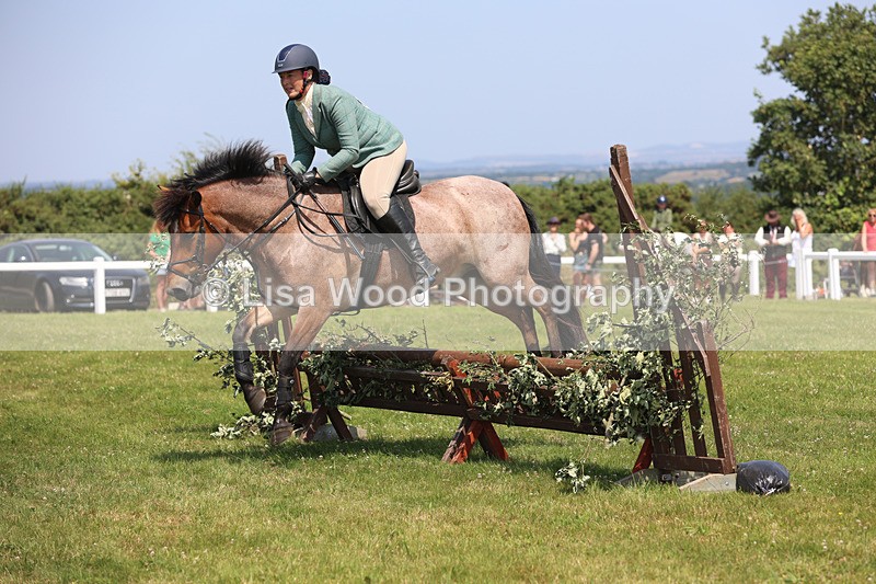 JPP_3153 - Class 22: Working Hunter 70cm