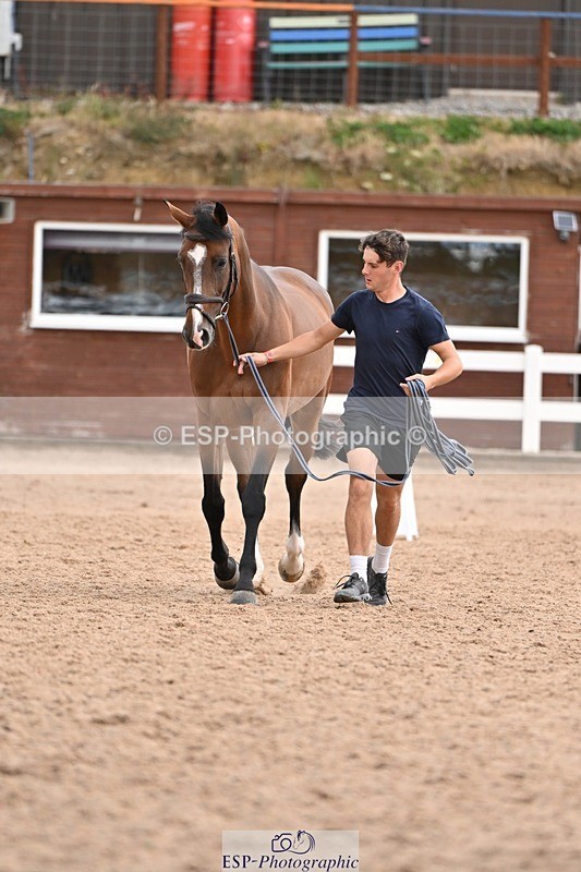 250716-145526-01507 - Trot Up 2.30 to 3.30