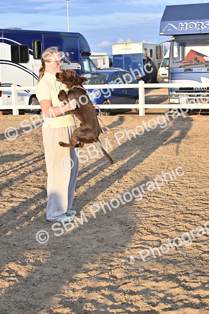 SBM_09679 - Lorry Dogs