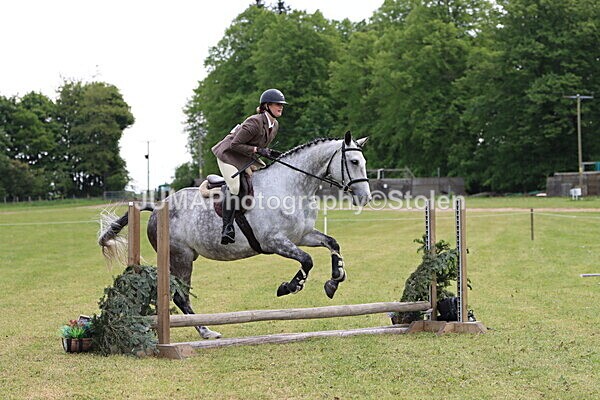 IMG_2742 - Working Hunter