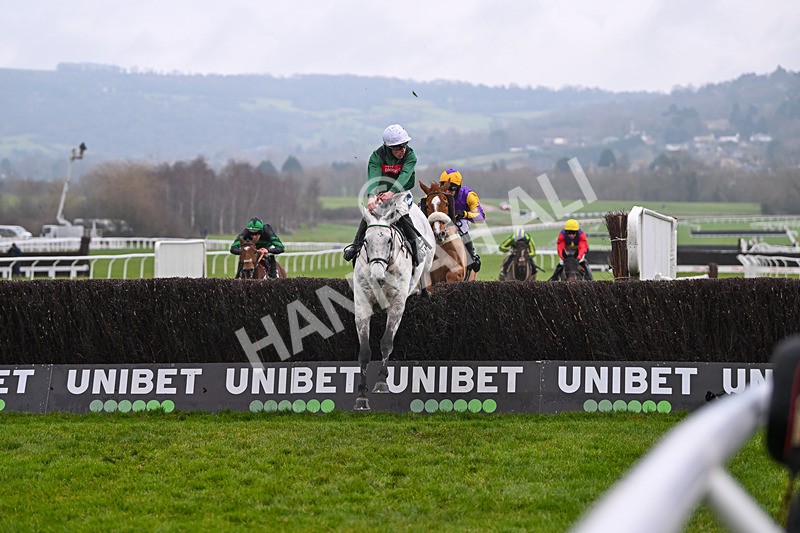 131224-Race 5-Numitor-9394 - Race 5