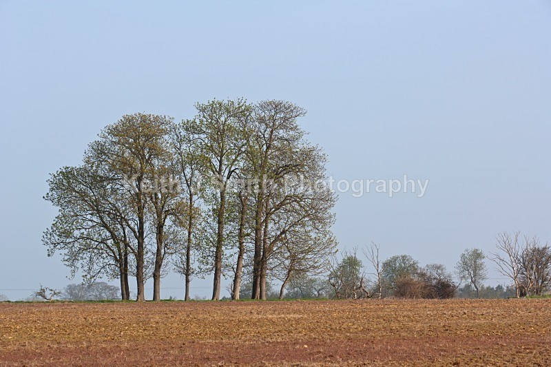 YR6M4686 - United Kindom