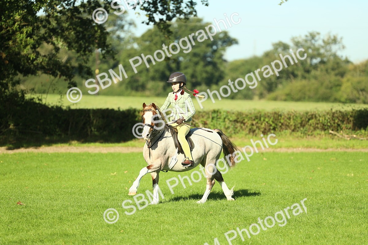 SBM_36365 - S29 - Novice & Newcomers Working Hunter Pony