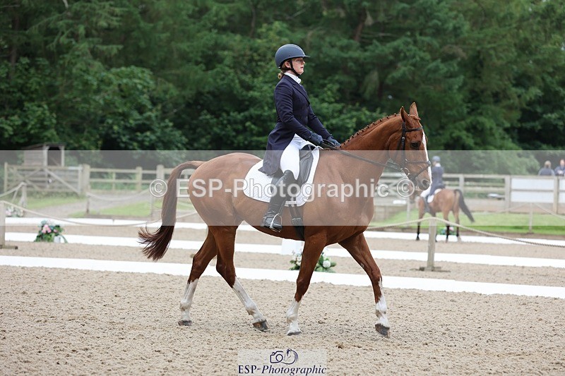 240524-090221-07043 - 251-MILESTONE_GOLD-Gaby_Bull