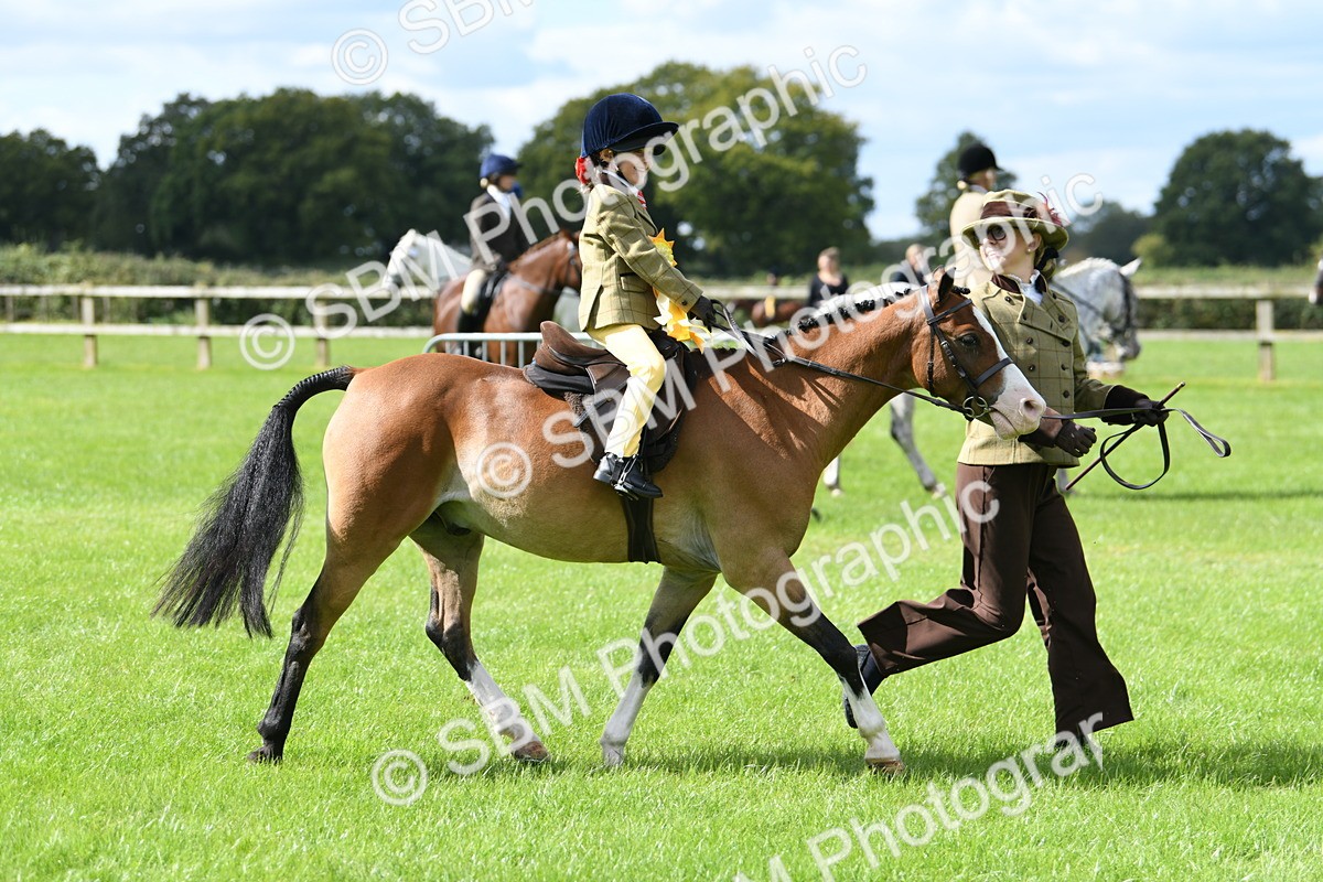 SBM_41289 - S19 - Lead Rein Show & Show Hunter Pony