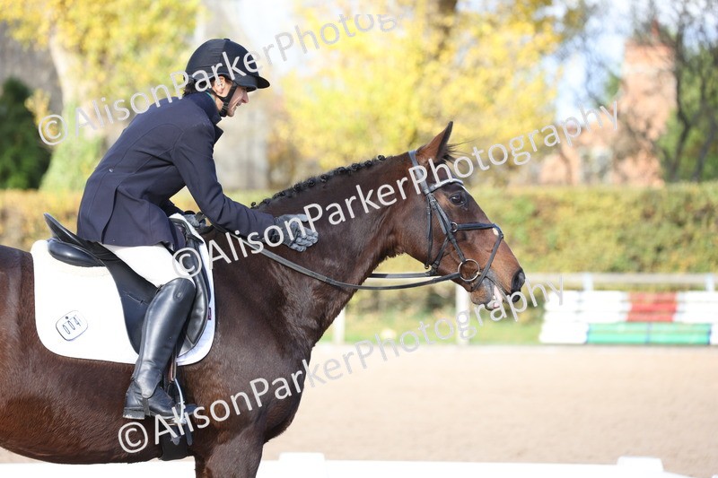 20251101-0644 - Class 5 - Novice 3