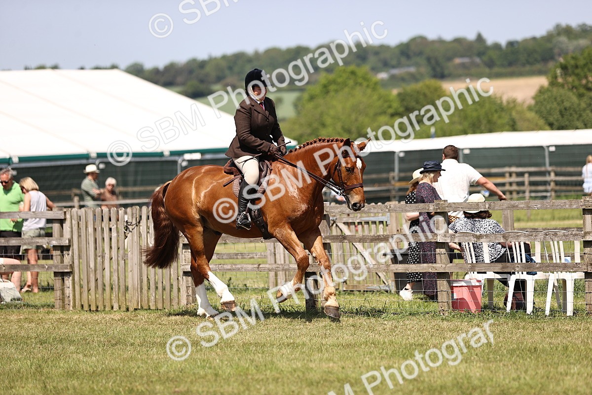 SBM_17709 - Class 81-83 - TSR Ridden Amateur of the Year - Horses