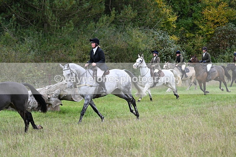 WJ7_3815 - Camera 1 Line 1