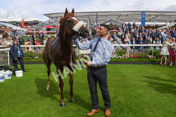250823-Race 1-Marhaba The Champ-0201 - Race 1 1.50pm Sky Bet Handicap