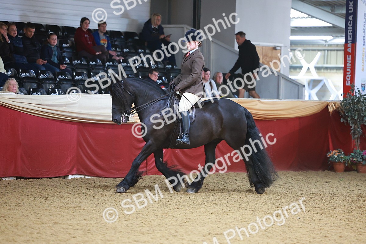 SBM_10637 - Class 103 - HOYS Veteran Qualifier - Ridden Pre Vet