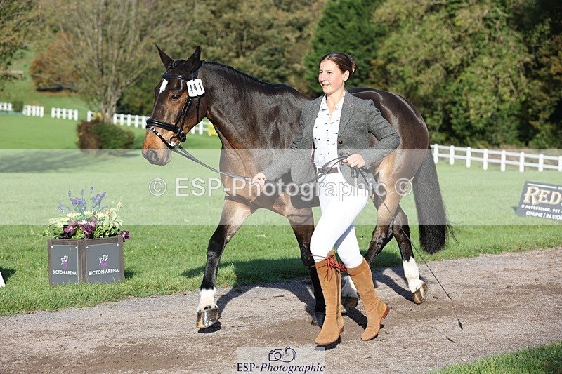 241027-093854-15416 - 441-Molly.Swain-SOCKS