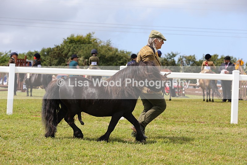 1X9A4762 - Class 35: Veteran In Hand