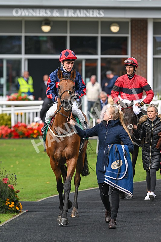 150925-Race 1-Max Of Stars-2254 - Race 1