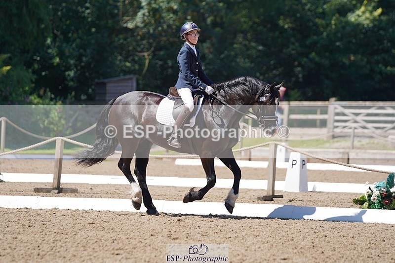 240719-113112-01156 - 282-Edward_Collis-Eglwysfach_Blodwen