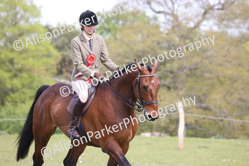 20260426-4465 - Class 34 - Best Riding Horse Over 14.2hh