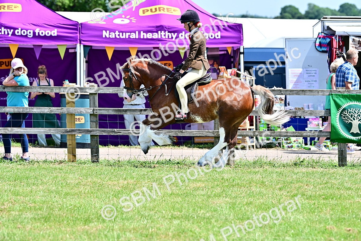 SBM_15294 - Class 95-97 - BSPS LHS Performance Ponies
