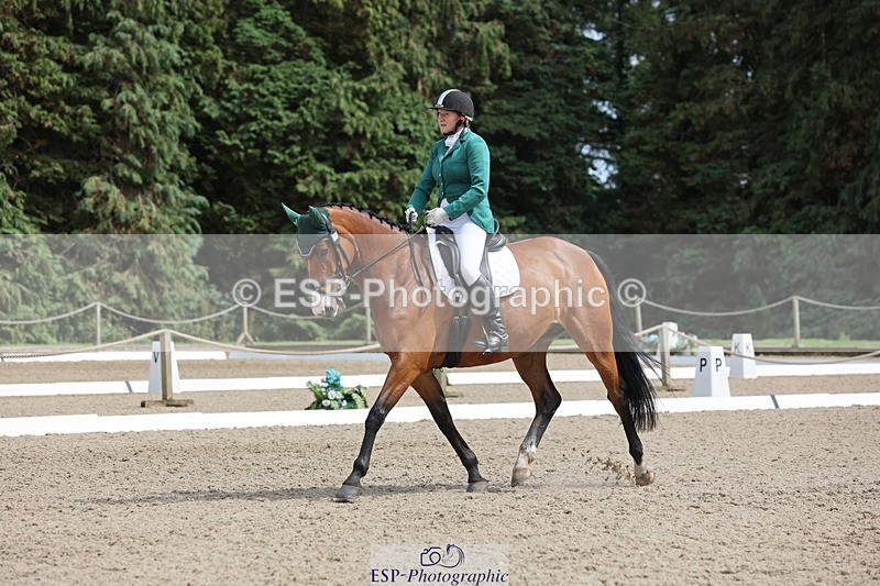 250718A-152753-02569 - 152-Tracy.OKennedy-Wylye.Harlequin