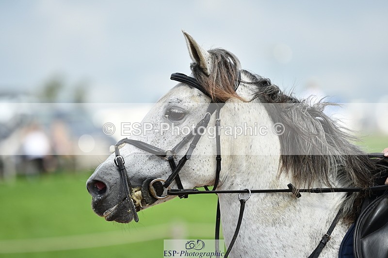 230902A-124806-01220 - Cls 3A Pony Medium 80cm