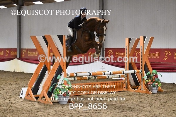 BPP_8656 - CLASS 1 Club/ Unaffiliated 80cms Open