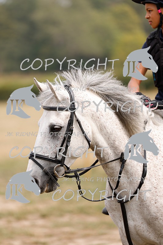 _R6A2959 - Arena Eventing Afternoon