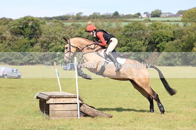 3E7A6661 - Class 1: Trebudannon Open: Pheasant Feeder