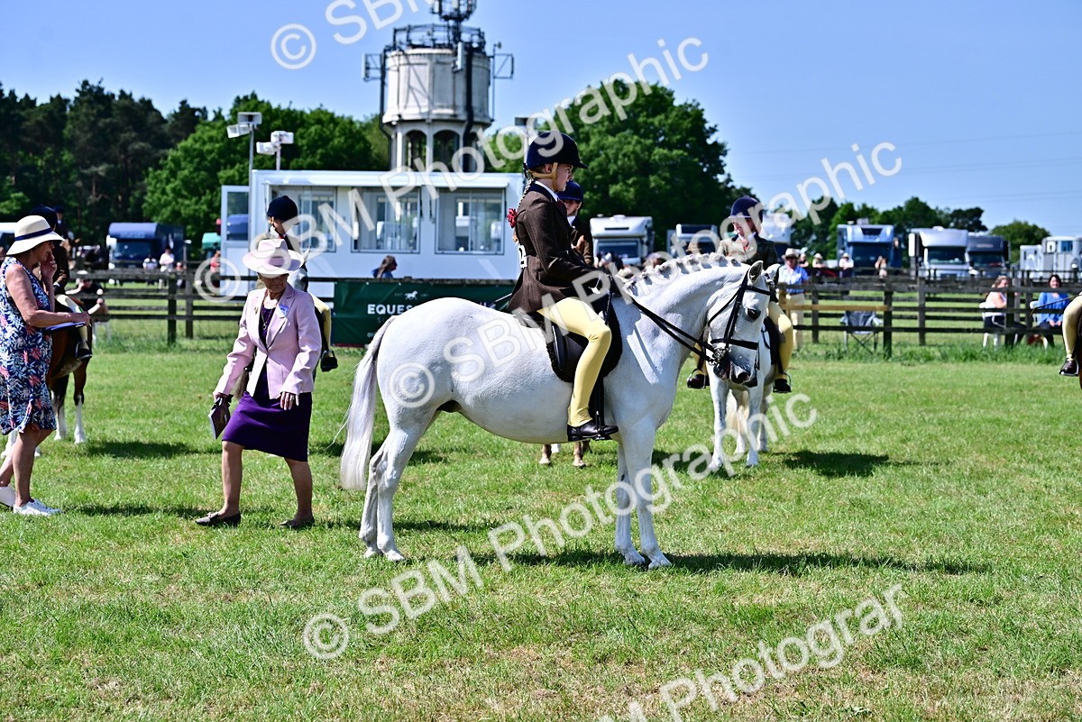 SBM_13898 - Class 95-97 - BSPS LHS Performance Ponies