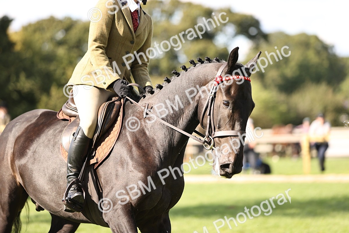SBM_26392 - S6 - Novice & Newcomers Ridden Horse