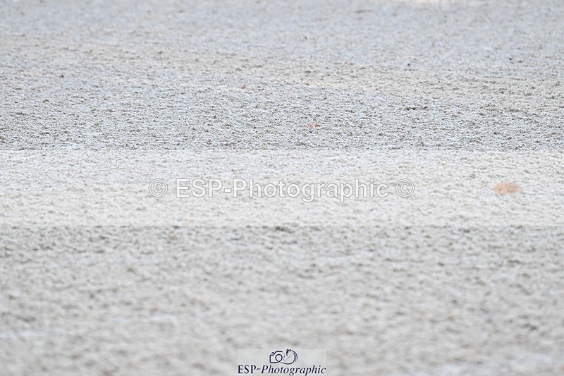 231110-093948-01695 - Cls 1 Prelim 15Q