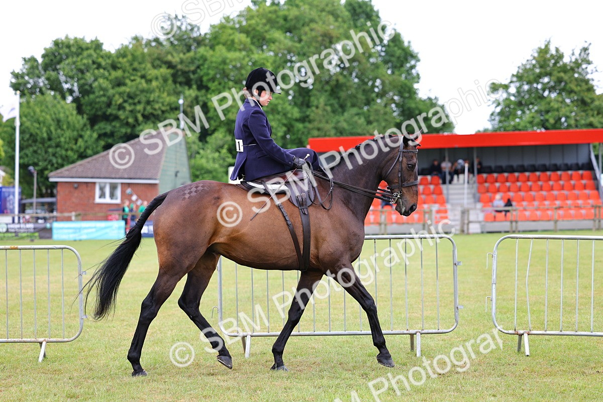 SBM_02710 - Class 9-11 Side Saddle including LIHS Rising Star Ladies Show Horse