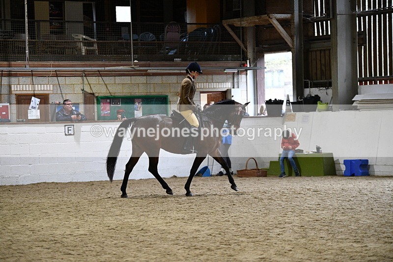 WJ5_8903 - Class 15 Ridden Show Horse